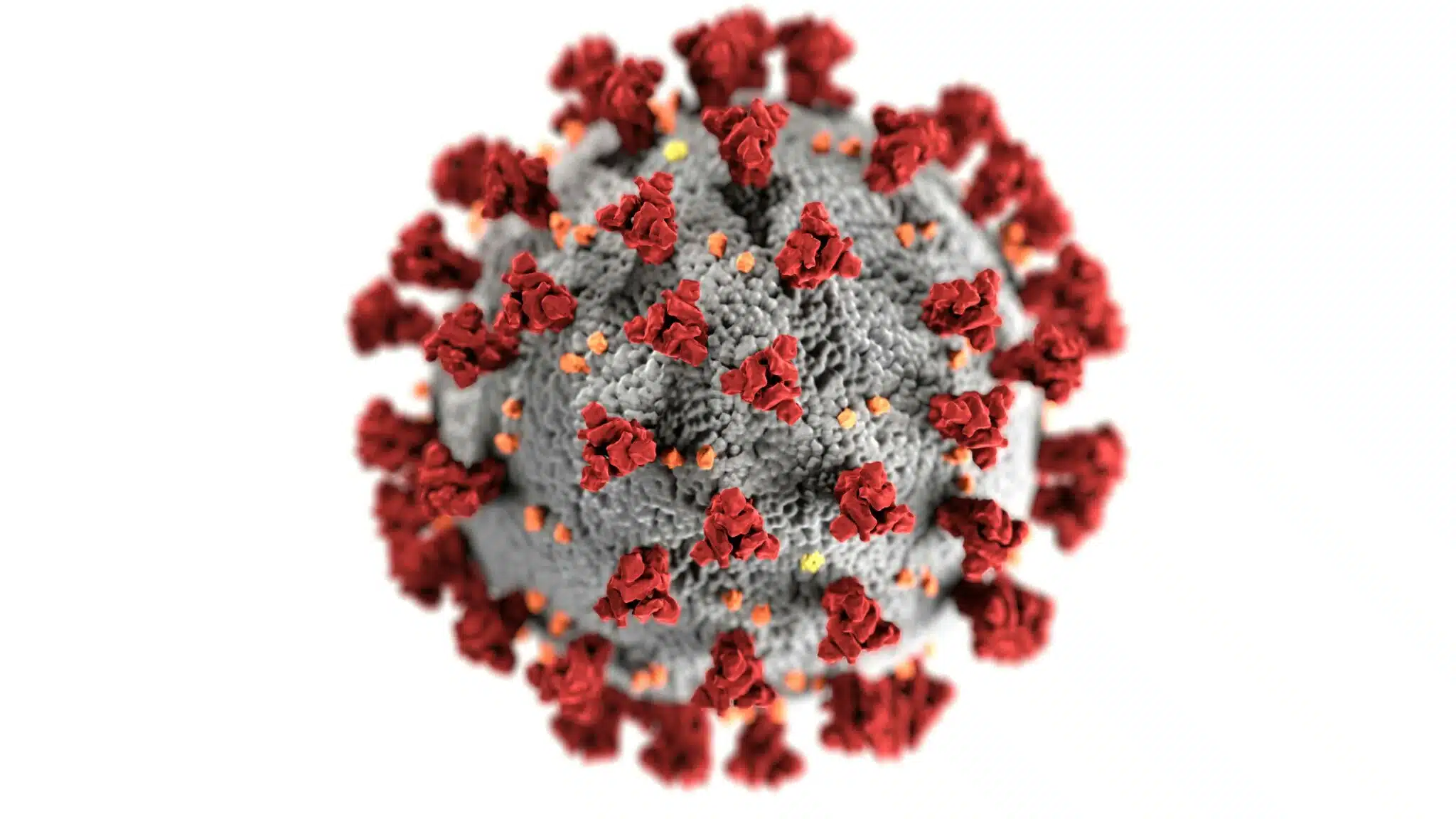 immagine che raffigura il virus SARS-CoV-2